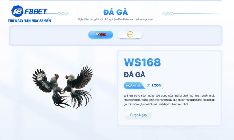 Kê thủ sẽ dễ dàng ăn thưởng với 04 cửa cược nếu tích lũy đủ kỹ năng