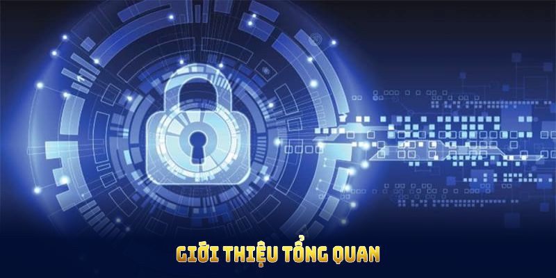 Giới thiệu tổng quan về chính sách bảo mật tại F8BET