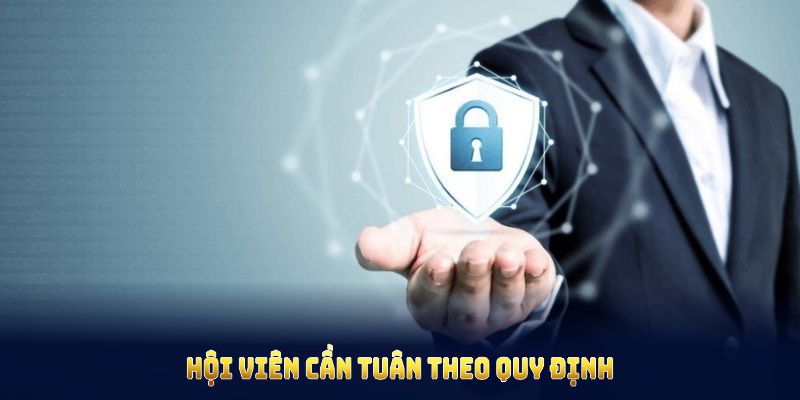 Hội viên cần tuân theo quy định quyền riêng tư để tránh mất dữ liệu